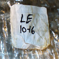 The saving date on my shitake patch The saving date on my shitake patch
