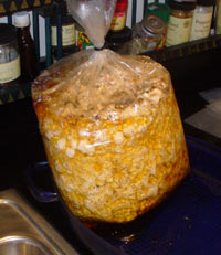 soakingshitakes Shitaki "Patch" soaking in a bag of water in my kitchen